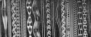 Sound Inscriptions